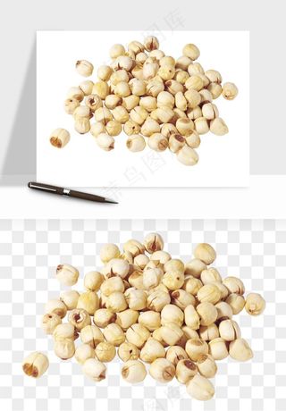 中药养生药材png免抠