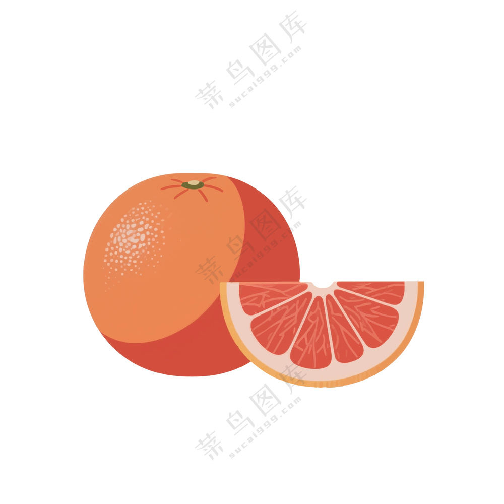 西柚插画水果