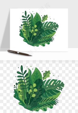 植物花卉边框装饰png免抠