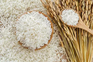 世界粮食日谷物米饭稻谷小麦摄影图