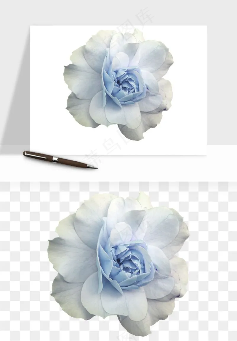 复古鲜花玫瑰png免抠