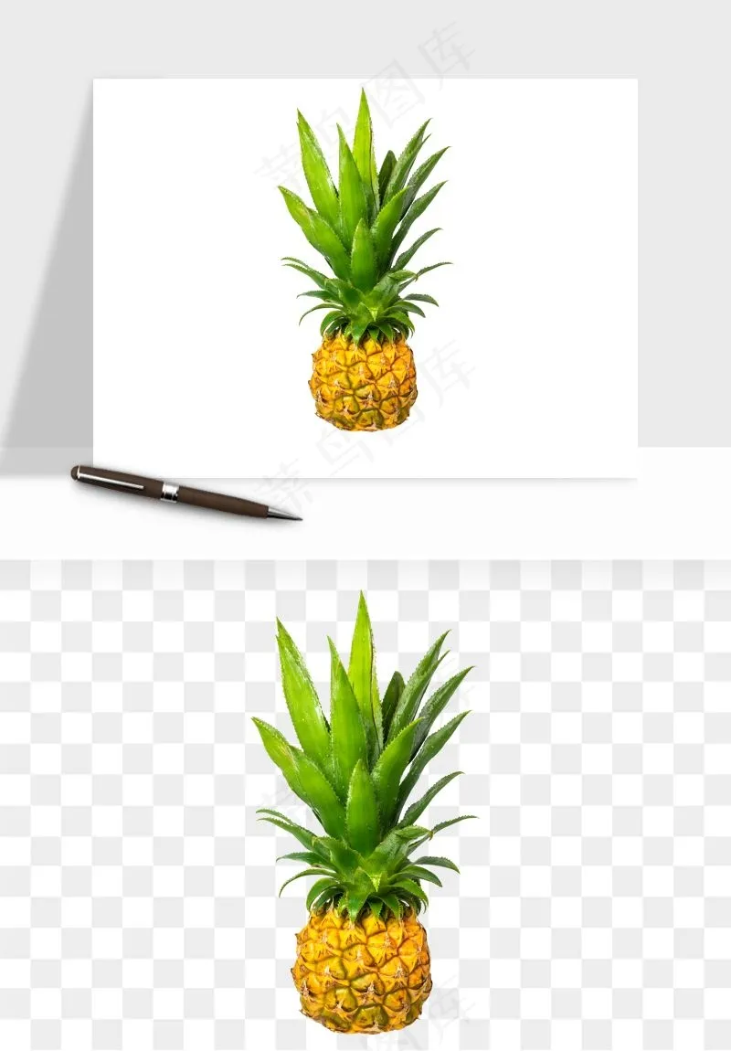 菠萝水果png免抠