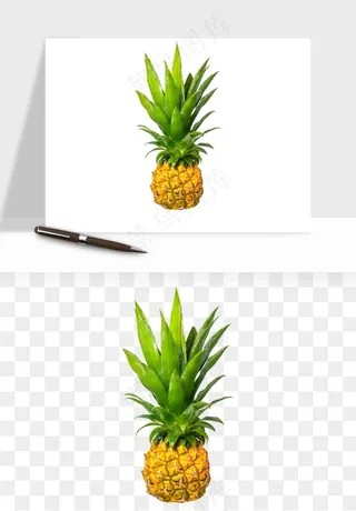 菠萝水果png免抠