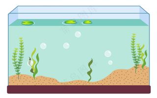 卡通鱼缸海藻气泡