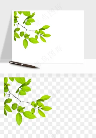 绿叶虚化前景树枝png免抠