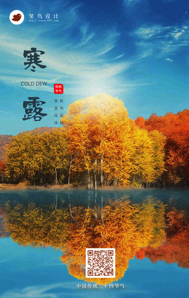 寒露手机海报