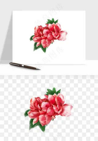 手绘国潮牡丹花花卉图案png免抠