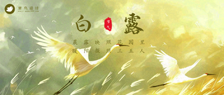 白露公众号首图