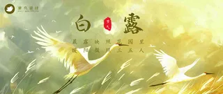 白露公众号首图