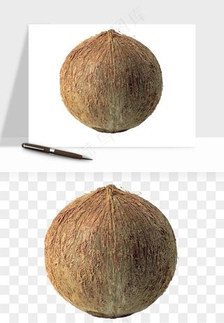 椰子椰果水果png免抠