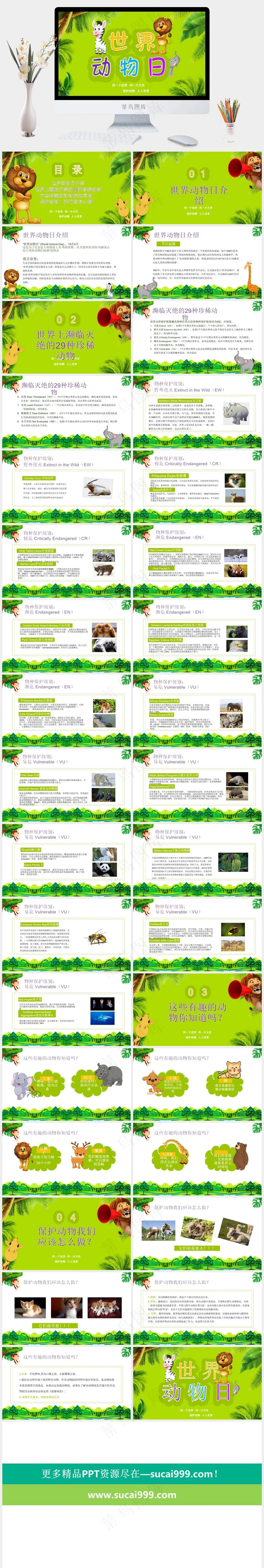保护野生动物生态环境保护PPT