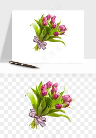 荷兰郁金香鲜花png免抠