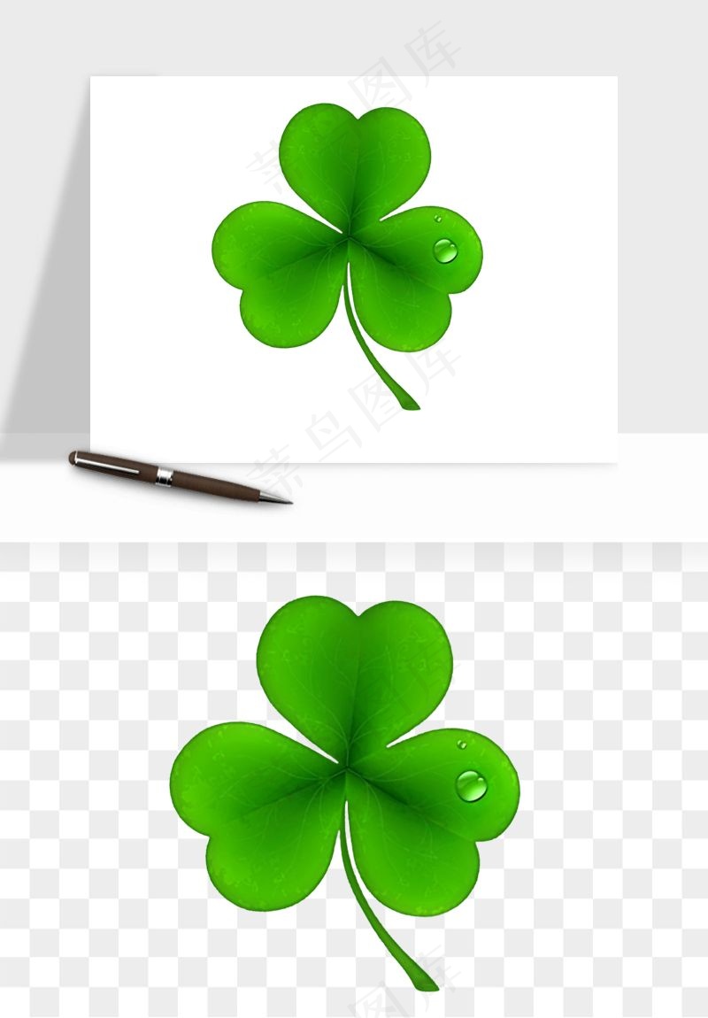 手绘四叶草幸运植物png免抠
