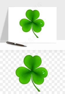 手绘四叶草幸运植物png免抠