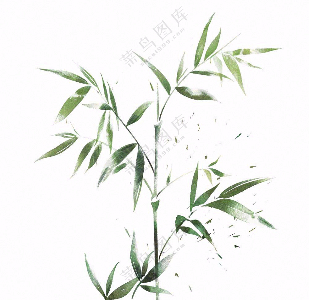 绿竹竹子绿植水墨画插画免抠