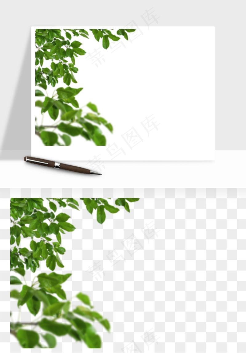 绿叶虚化前景树枝png免抠