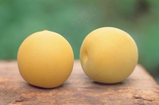 新鲜水果摄影图片 (13)