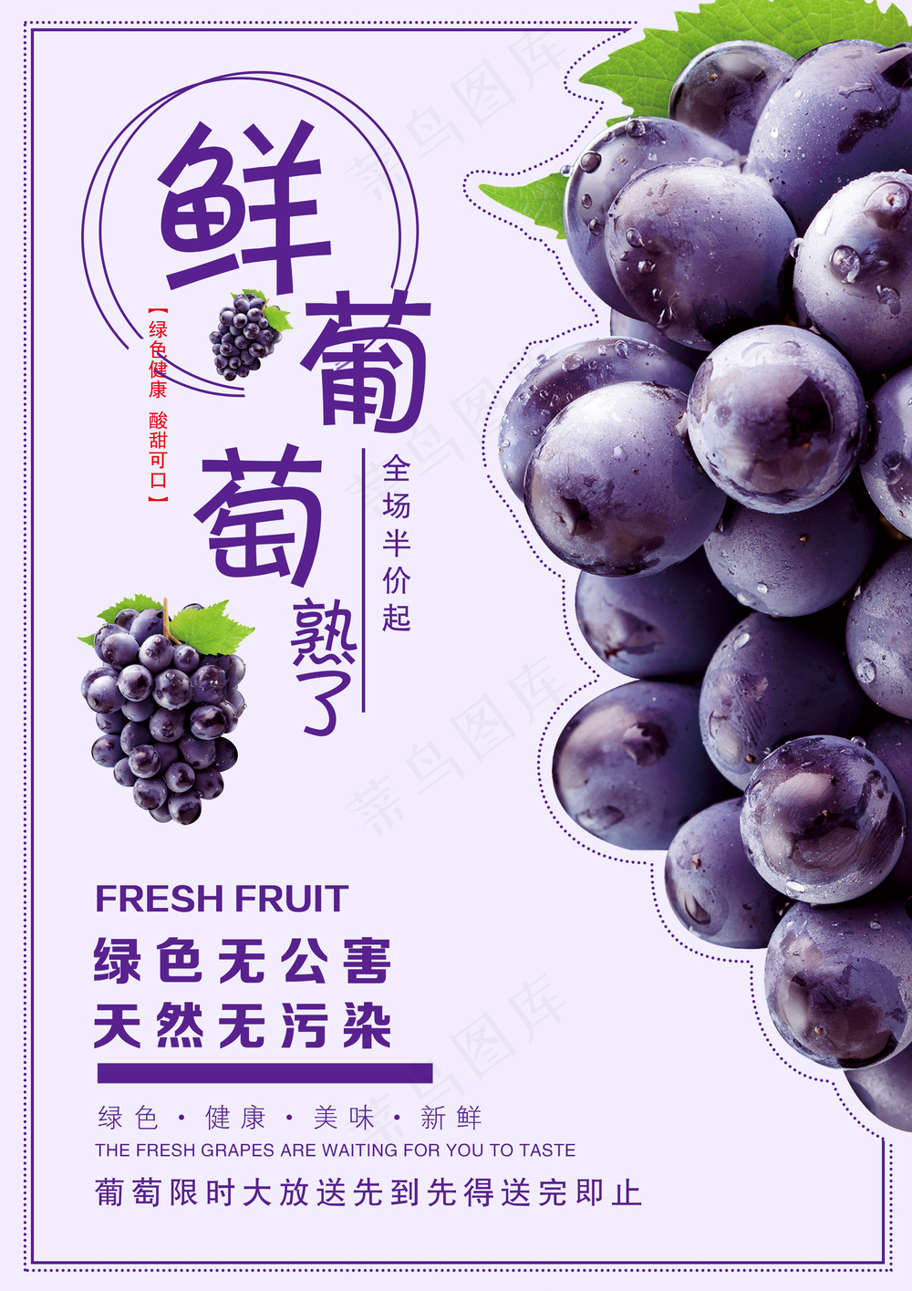 葡萄海报