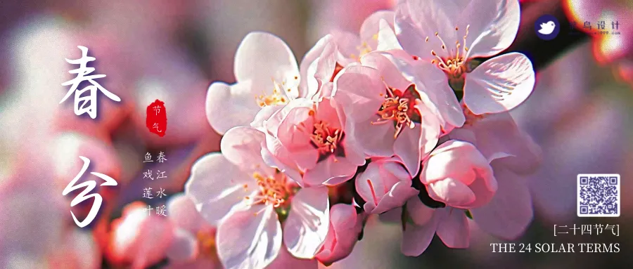 春分公众号首图