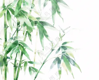 绿竹竹子绿植水墨画插画免抠