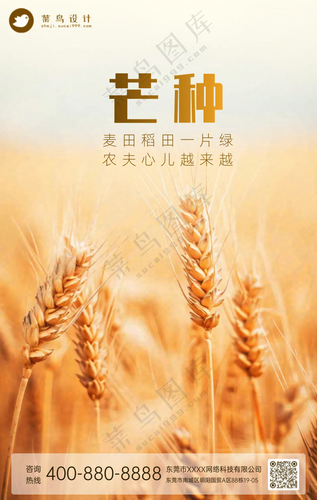 芒种手机海报