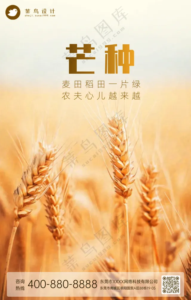 芒种手机海报
