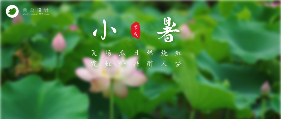 小暑公众号首图