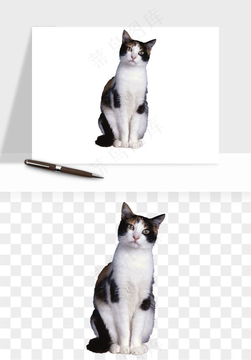 猫咪喵星人狗狗宠物元素png免抠