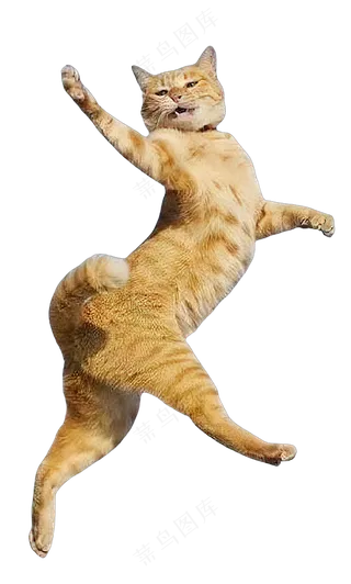 png免抠搞笑有趣动物