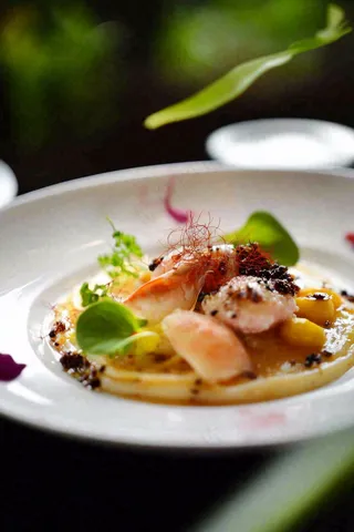 西餐午餐晚餐美食摄影图