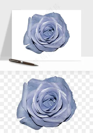 复古鲜花玫瑰png免抠