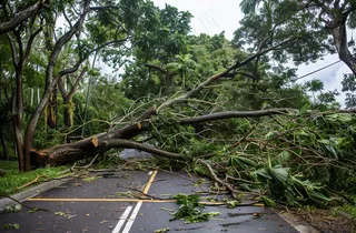 台风预警天气自然灾害