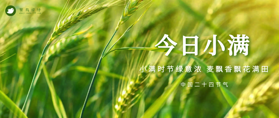 小满公众号首图