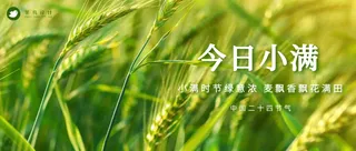 小满公众号首图