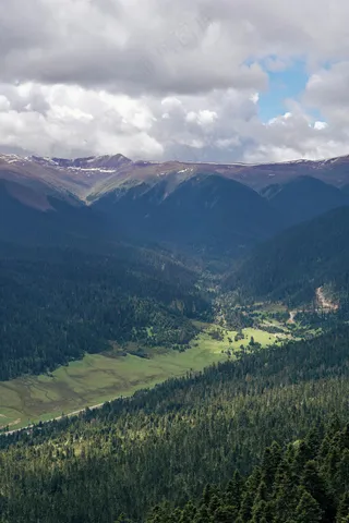 绿意盎然森林谷·自然宁静风光片