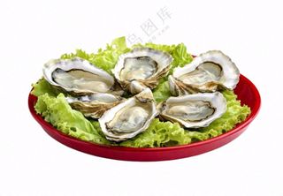 时蔬生蚝海鲜摄影图免抠