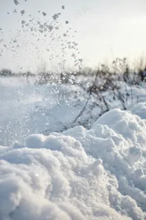 雪地中的孤独树枝与飞鸟