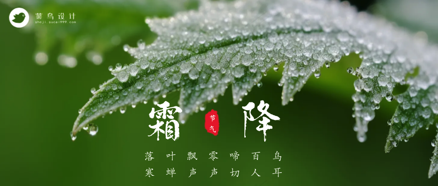 霜降公众号首图