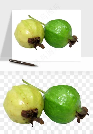 番石榴芭乐水果png免抠