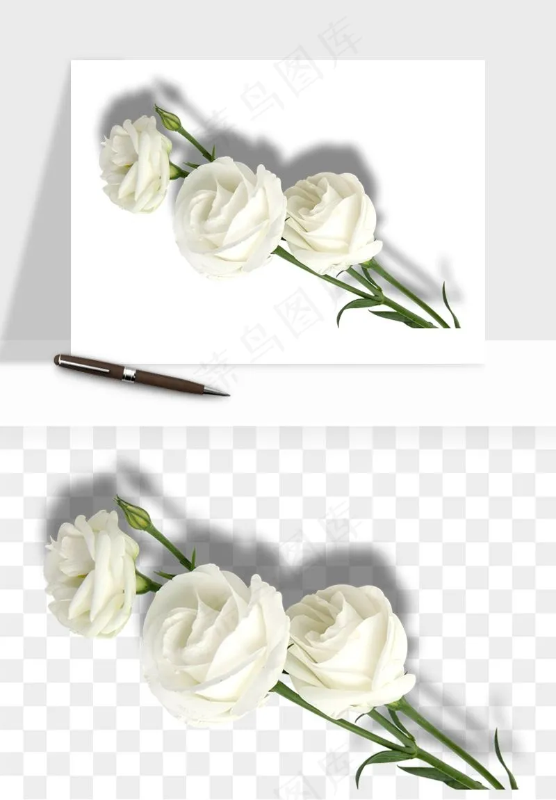 白玫瑰花枝花束png免抠