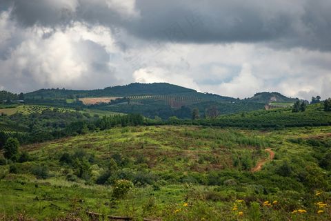 绿意盎然山丘景