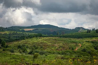 绿意盎然山丘景