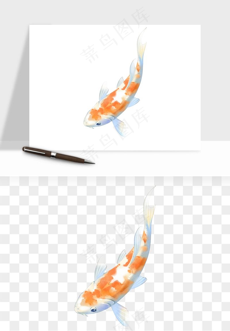 锦鲤鱼手绘水墨png免抠