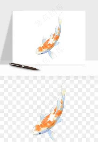 锦鲤鱼手绘水墨png免抠