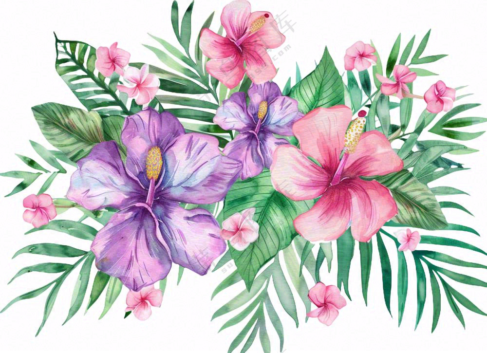 花艺插画植物花朵水彩免抠