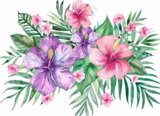 花艺插画植物花朵水彩免抠