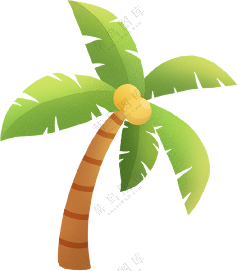 椰树  叶子   椰树素材   椰树插画  免扣素材  透明素材