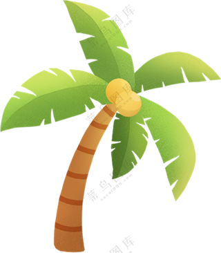 椰树  叶子   椰树素材   椰树插画  免扣素材  透明素材