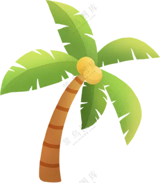 椰树  叶子   椰树素材   椰树插画  免扣素材  透明素材