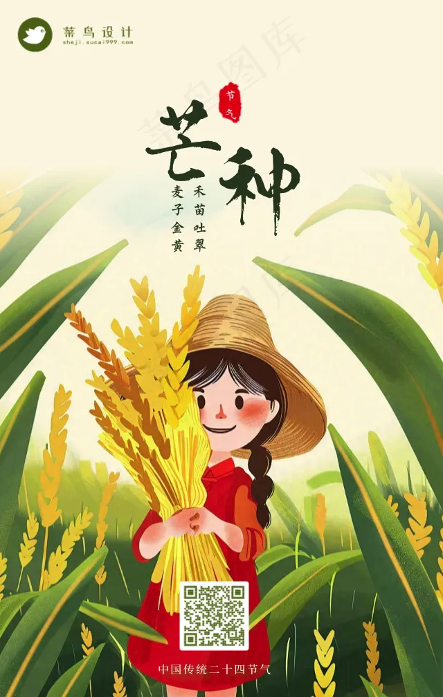 芒种手机海报